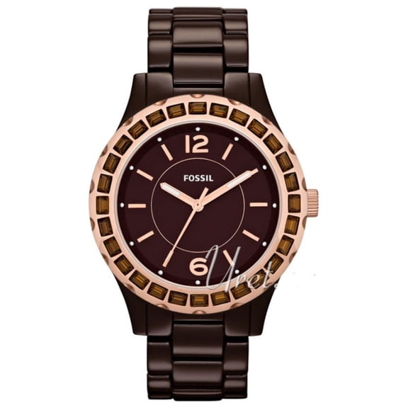 FOSSIL Ladies  Brown Ceramic  Glitz Dial Watch CE1070 $225.00