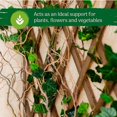 thumbnail image 5 of XYCCA Jardinière Murale en Treillis de Pin Extensible Support de Plante en Clôture Treillis Extensible pour Plantes Grimpantes-1253, 5 of 5