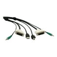 thumbnail image 2 of Black Box Secure DVI KVM Cable - USB A-B, 3.5mm Audio, 10-ft., 2 of 2