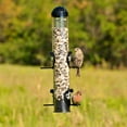 thumbnail image 3 of Perky-Pet 1 lb Squirrel Shield Tube Feeder, 3 of 6