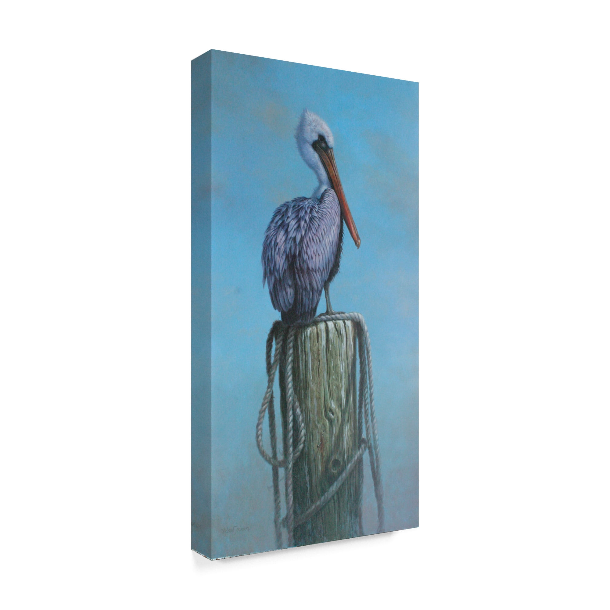 Trademark Fine Art 'Pelican Perch' Canvas Art by Michael Jackson