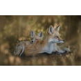 thumbnail image 2 of Zhang, Ling 24x17 Gold Ornate Wood Framed with Double Matting Museum Art Print Titled - Mom Pillow, 2 of 4