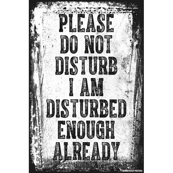 Please Do Not Disturb I Am Disturbed Enough Already Poster
