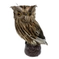 thumbnail image 3 of Decoración de Jardín DYNWAVEMX Taxidermia de Plumas de Búho Artificial Adorno Marrón, 3 of 8