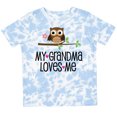 thumbnail image 3 of Inktastic Grandma Loves Me Girls Owl Girls Toddler T-Shirt, 3 of 5