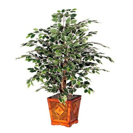 4 ft. Variegated Extra Full Tree / Square Wood