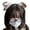 A, variant on Soft Dog Ears Plush Headgear Stylish Headpiece Cartoon Headwear Accessory for Casual Wear and Special Occasion