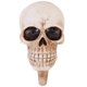 thumbnail image 1 of Diseño creativo de calavera de Halloween gancho de la pared de la pared del soporte del soporte del soporte de la pared, 1 of 7