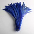 thumbnail image 4 of 50pcs Natural Chick Tail Feathers 25 -40cm /10 -16inch Clothing Decoration Stage Performance Rooster Tail Feathers Plume, 4 of 5