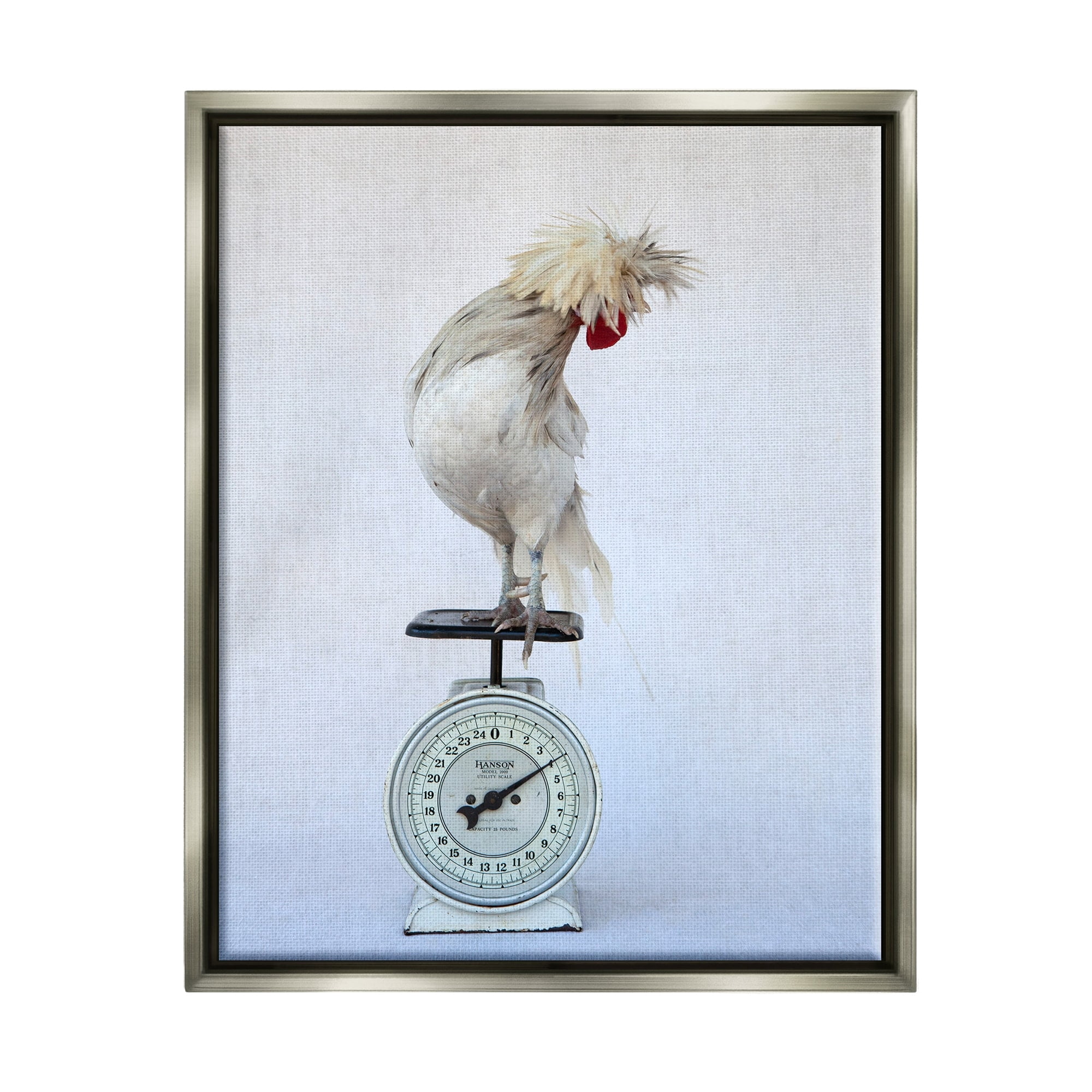 Stupell Industries White Bird Standing Vintage Kitchen Scale Photography Photograph Luster Gray Floating Framed Canvas Print Wall Art, Design by Tania Soderman