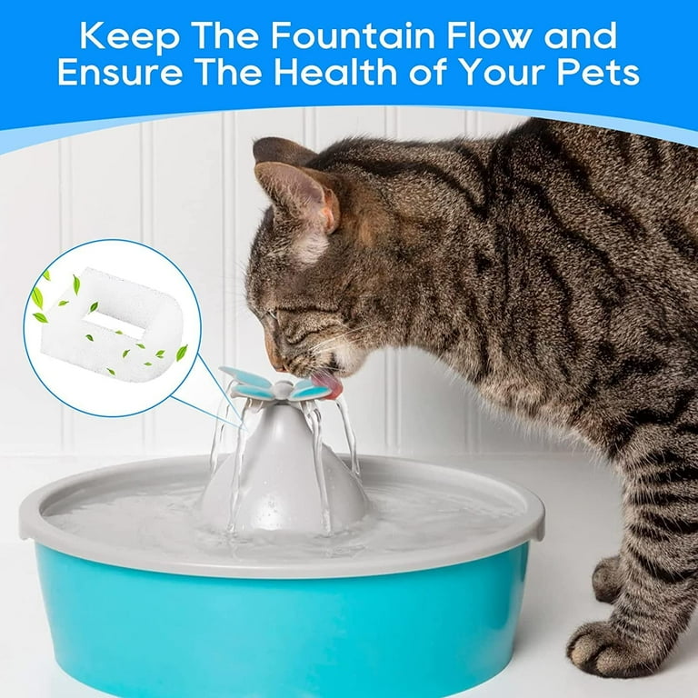 Cat fountain without deals filter