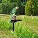 thumbnail image 4 of Kuymtek Luces solares LED Parrot Impermeable Césped Estacas Lámparas Decoración de jardín (Verde) Kuymtek Iluminación del hogar multifuncional, 4 of 8