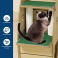 thumbnail image 4 of Cat Exercise Wheel for Indoor Cats,Large XL Cat Running Treadmill Wheel with Bowls, Scratch Post & Detachable Carpet for Kitties Endless Fun, 4 of 9