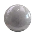 thumbnail image 1 of Pelota de Gimnasia Rítmica, Equipo de Gimnasio, Cómoda Pelota Rítmica Profesional Pequeña de 5,91 Pulgadas para Entrenamiento de Gimnasio Y Práctica. plata, 1 of 8