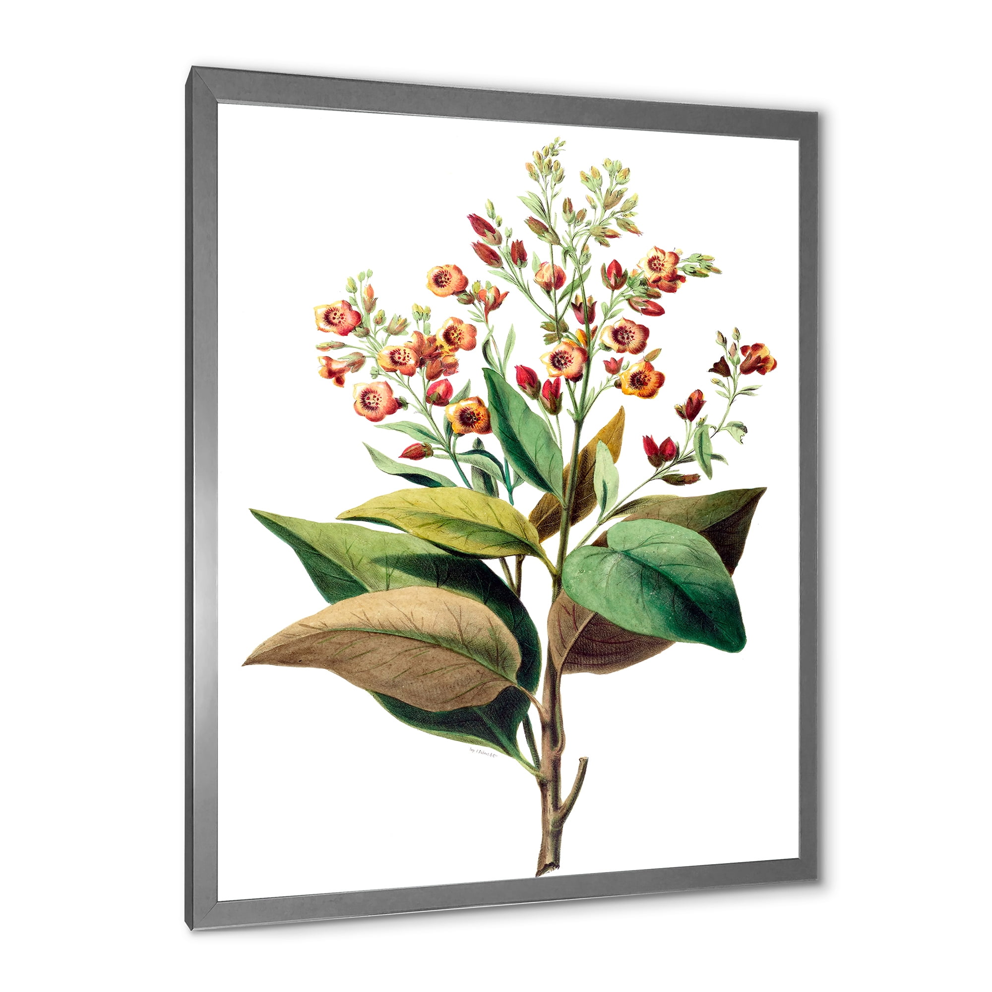 Designart 'American Vintage Flowers II' Traditional Framed Art Print
