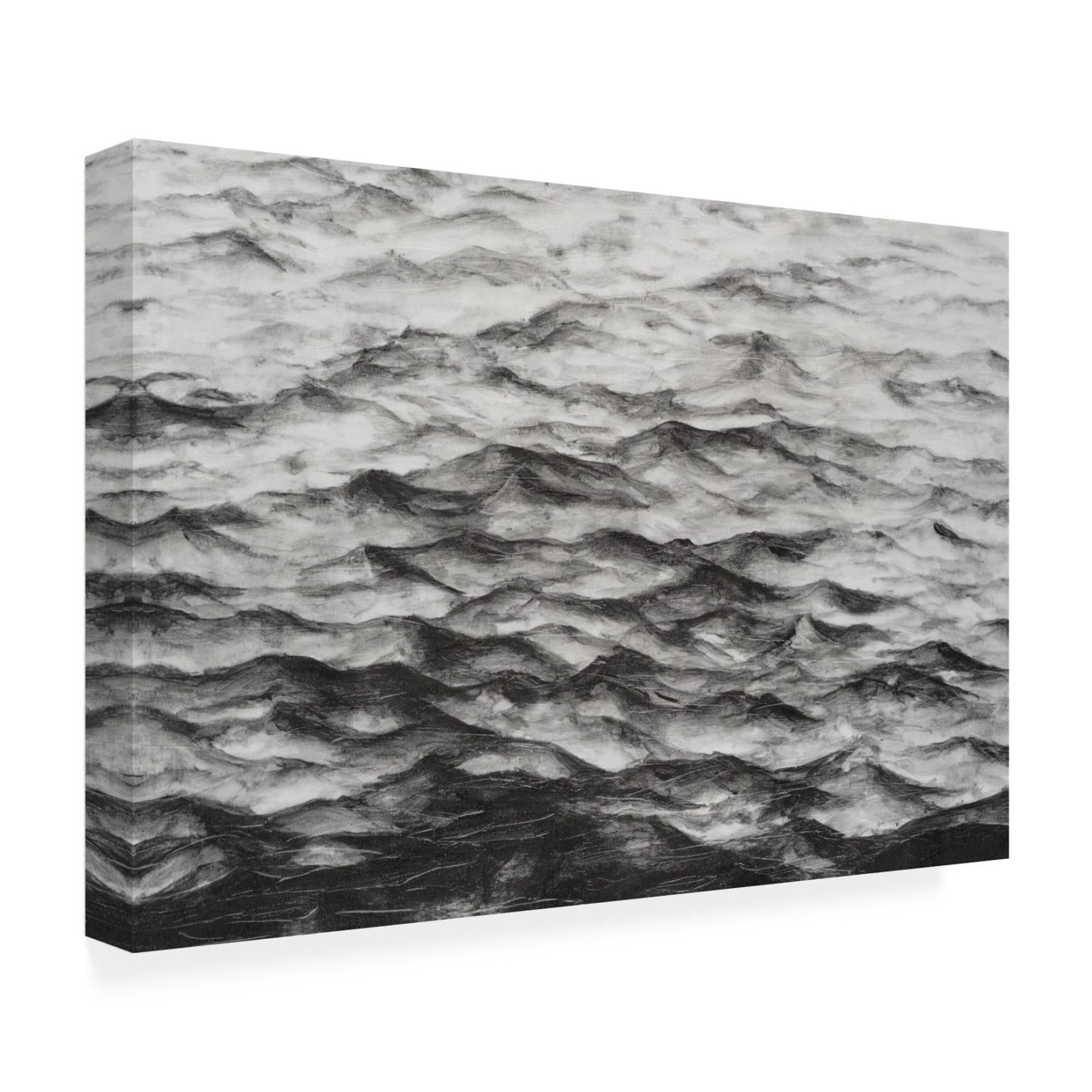 Trademark Fine Art Michael Willett Surface Water II Canvas Wall Art