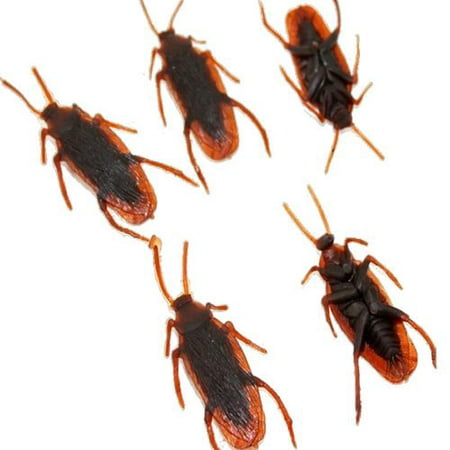 Fancyleo  Fake Cockroaches Realistic Prank Roaches for Joke Trick Halloween April Fool 's Day Party Look Real Toys (100