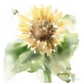thumbnail image 3 of Pete, Katrina 12x12 Black Modern Framed Museum Art Print Titled - Sunflower Meadow III, 3 of 5