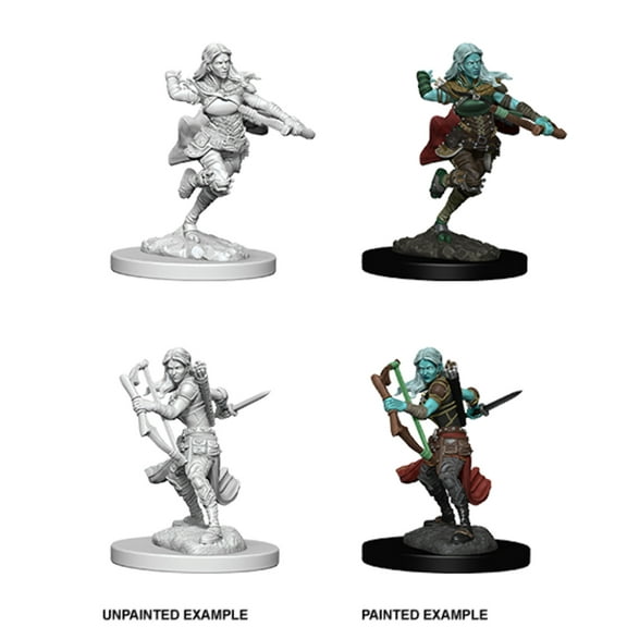D&D: Nolzur's Marvelous Miniatures - Air Gensai Female Rogue