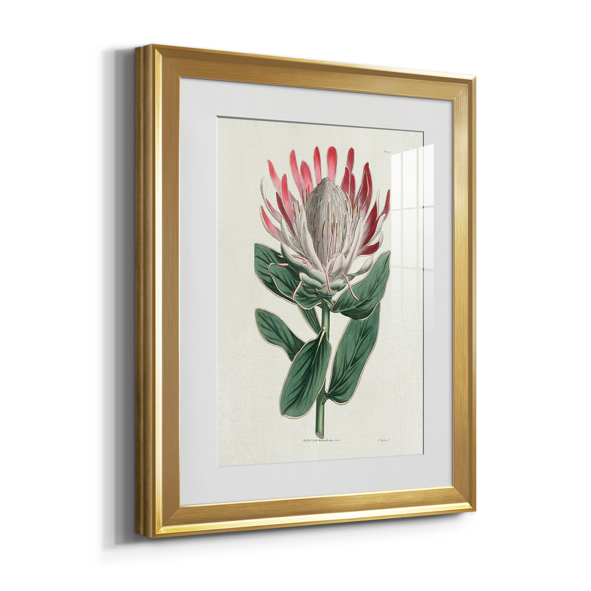 Protea N13 Premium Framed Prints Set of 3 - Ready to Hang - 22 x 30 Each - Gold Frame