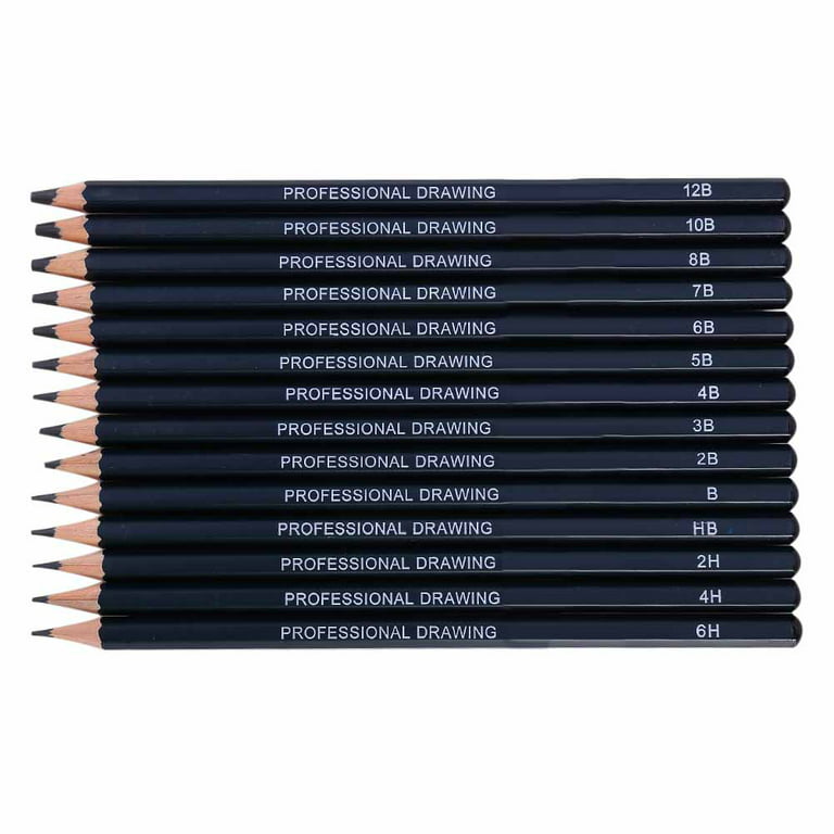 14 Graded Drawing Pencils 10B, 8B, 6B, 5B, 4B, 3B, 2B, B, HB, 2H, 4H, 6H  Graphite Pencils for Adults & Kid Artists 