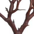 thumbnail image 3 of Vickerman Manzanita Tree Natural 24", Dried, 3 of 4
