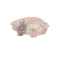 thumbnail image 4 of Sophisticated Headwear Elastic Hair Accessory Kids Newborns Hairband Photography Props for Baby Girls, 4 of 8