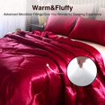 Satin Silky Soft Quilt Luxury Super Soft Microfiber Bedding Comforter Set Full/Queen, Light