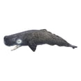 thumbnail image 3 of Juguetes del mundo de los animales marinos, réplicas realistas de cachalotes, figuras de acción oceánicas, animales marinos simulados, resultados impresionantes, 3 of 14