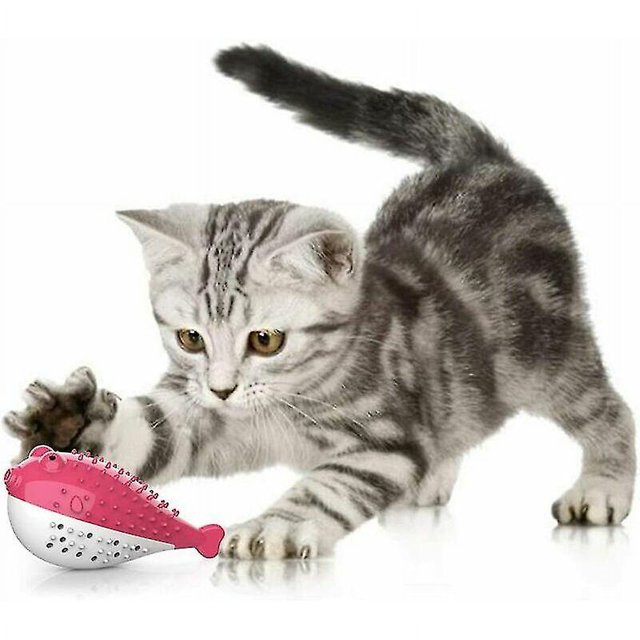Juguete dental para gatos, juguete para gatos Iave, juguete para masticar molares de silicona, juguete para gatitos, hierba gatera