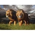 thumbnail image 1 of Cobble Hill 1000 Piece Puzzle - Approaching Storm - Sample Poster Included, 1 of 2