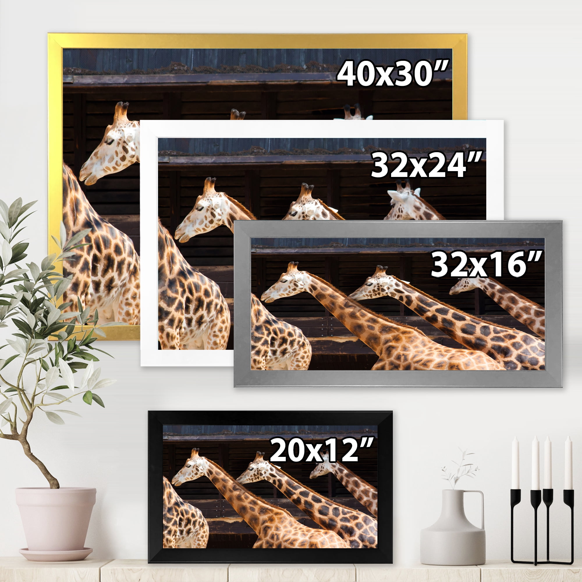 Designart 'Portrait Of Three Giraffes Running' Farmhouse Framed Art Print