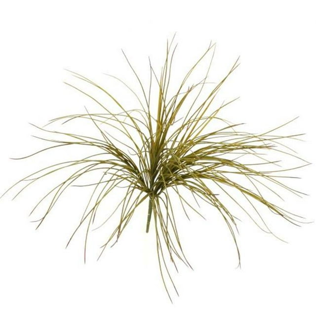 Distinctive Designs DG-215 X 8 Arbuste d'Herbe à Oignon en Plastique - Lot de 12