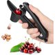 thumbnail image 1 of Cherry Pitter - Heavy-Duty Olive and Cherry Pitters Corer Tool with Space-Saving Lock Design, Multi-Function Cherries Stoner Seed Remover Tool(Black), 1 of 4