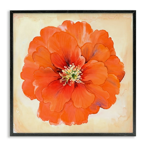 Stupell Industries Mixed Media Flowers Plants & Flowers Painting Black Framed Art Print Wall Art, 12 x 12