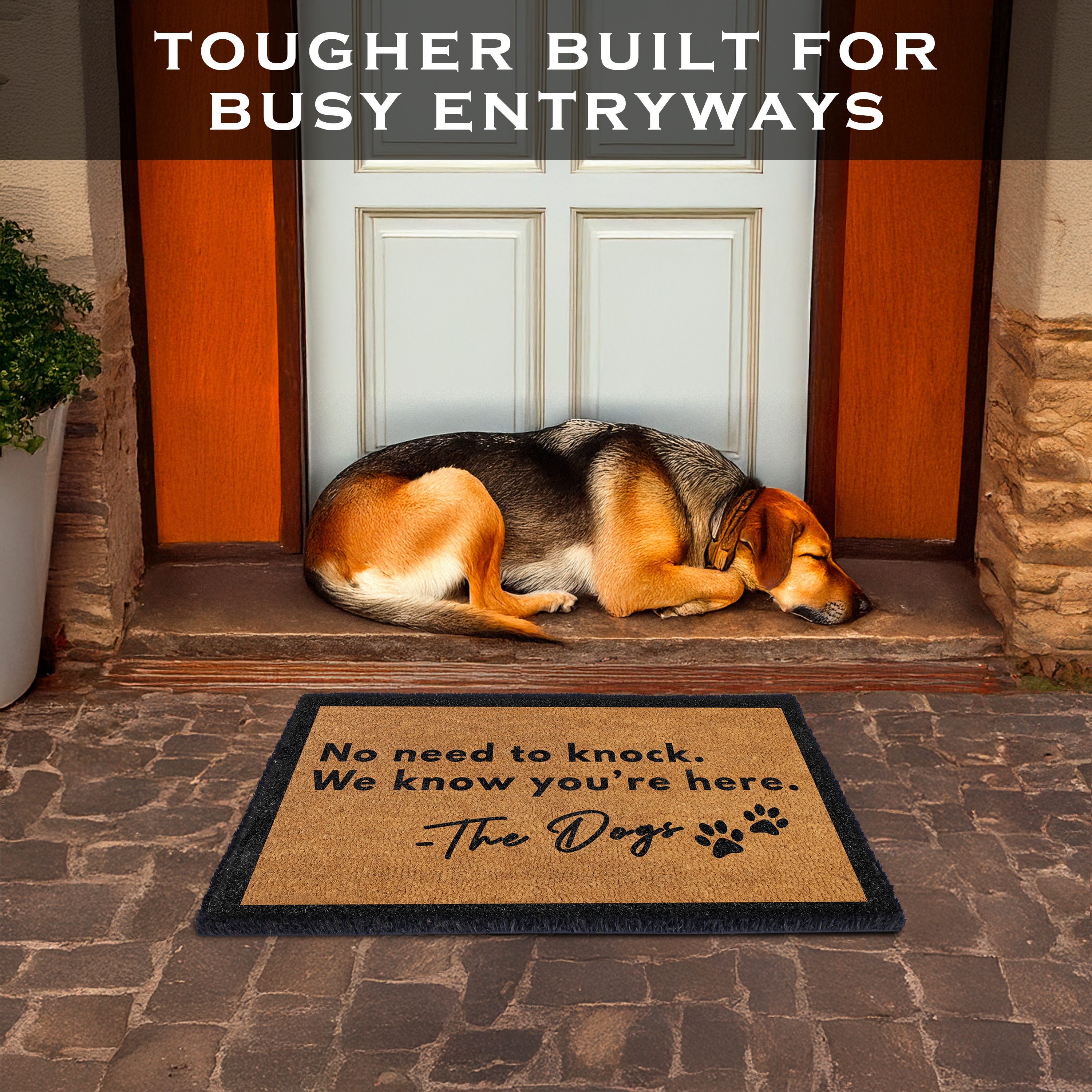 MAINEVENT No Need to Knock Doormat 30x17 Inch, Funny Dog Outdoor Welcome Mat for Outside