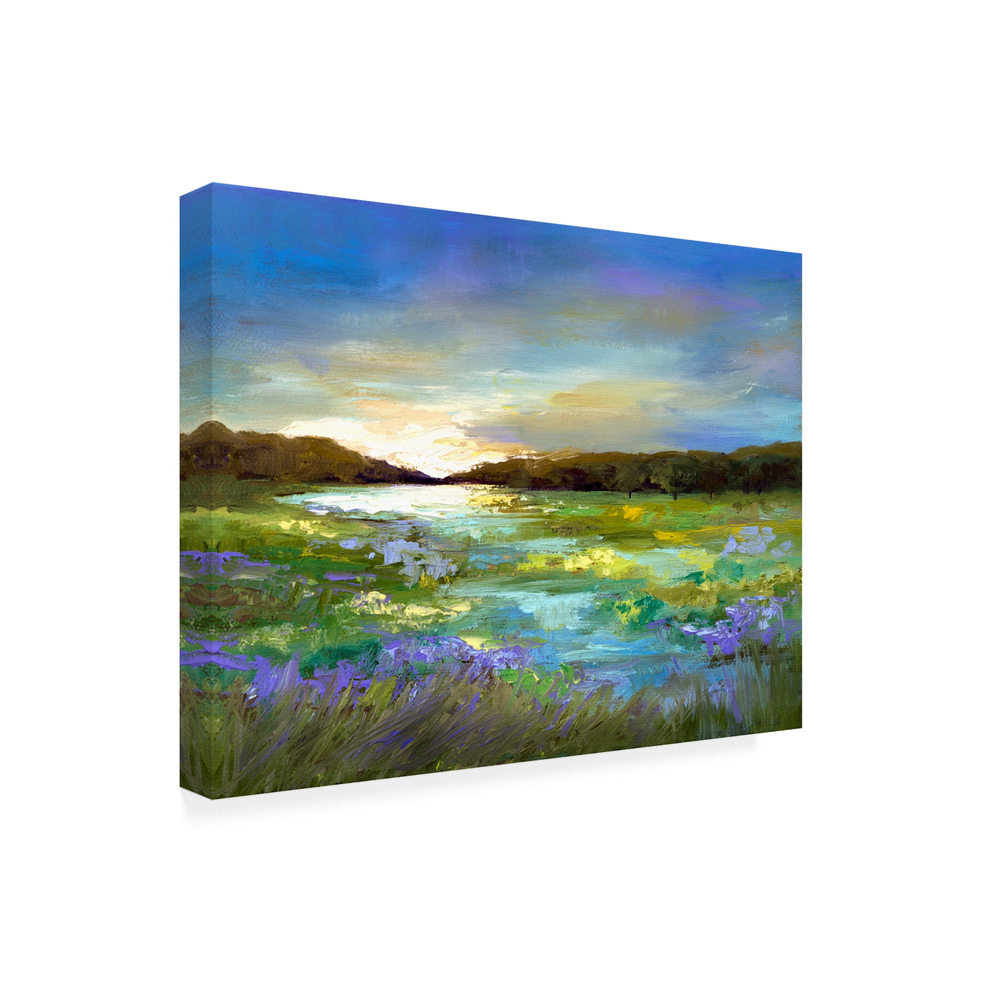 Trademark Fine Art 'Radiant Evening' Canvas Art by Sheila Finch