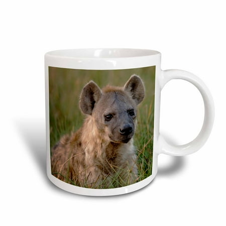 3dRose Spotted hyena, Chiefs Island, Okavango Delta. BOTSWANA-AF05 POX0259 - Pete Oxford, Ceramic Mug, 15-ounce