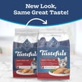 thumbnail image 4 of Blue Buffalo Tastefuls Natural Dry Food for Adult Indoor Cats, Salmon & Brown Rice Recipe, 15-lb Bag, 4 of 13