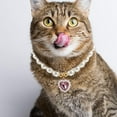 thumbnail image 4 of UPGRATOR Collier Ajustable Bijoux pour Petits Chiens Tenue Quotidienne, 4 of 8