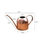 thumbnail image 2 of Irfora La olla pequeña de regadera de oro rosa lo ayuda a regar pequeñas plantas de la casa, suculentas, bonsai o jardines de hierbas - bebedero de plantas de acero para macetas en miniatura - 17 oz Irfora Regadera, 2 of 6