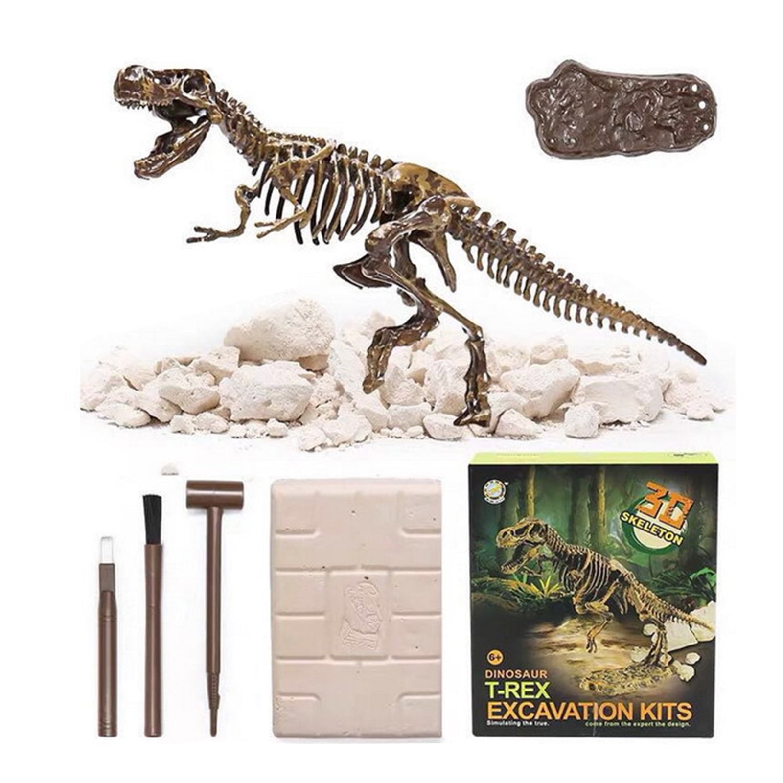 Simulation Archaeology Dig Up Toy Dino Fossil Dig Kits Paleontology STEM DIY Model Toy Teenager