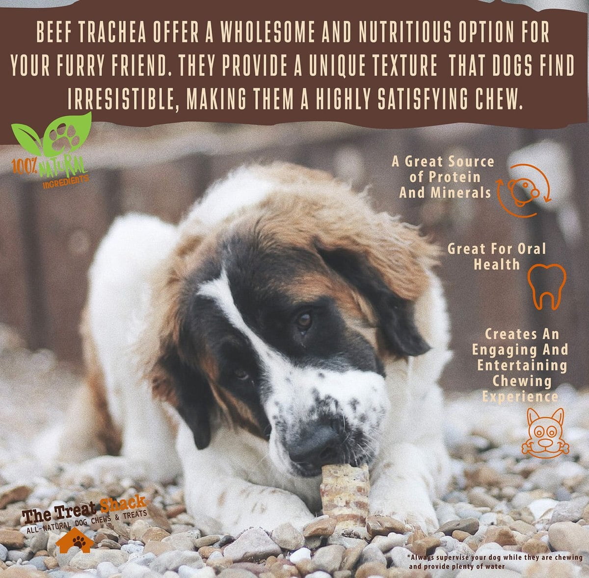 6" Split Beef Trachea Flats Dog Treats, 60 count