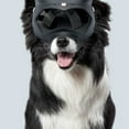 thumbnail image 6 of Windproof Soft Pet Dogs Glasses for Snow Sports Dogs Snow Eye Protections Eye Wear Goggles for Sand Protections, 6 of 13
