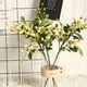 thumbnail image 4 of FloreceBien 3 piezas de hojas de olivo artificiales con frutas, ramas de olivo artificiales, plantas verdes para decoración del hogar y la oficina, 4 of 5