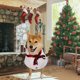 thumbnail image 3 of Disfraces para mascotas: Muñeco de nieve, Día de Todos los Santos. Disfraces de día, transformación espeluznante, ropa para perros, gatos, disfraces para mascotas, regalos de cumpleaños para mujeres,, 3 of 5