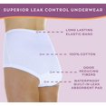 thumbnail image 4 of Wearever Women's Incontinence Underwear Banded Leg Bladder Control Briefs, Washable Reusable Panties, 3-Pack, 4 of 12