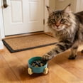 thumbnail image 4 of Slow Feeder Dog Bowl Anti Gulping Dog Slow Feeder Bowl for Healthy Eating, Non-Slip Interactive Dog Bowl Bloat Stop Slow Eating Dog Bowl for Small Medium Dogs & Cats 4.72 in, 4 of 7