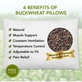 Daiwa Felicity Buckwheat Pillow Sobakawa Cooling Pillows 100 Natural