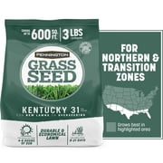 Pennington Kentucky 31 Tall Fescue Grass Seeds for Lawn, for Sun to Partial Shade, 3 lb